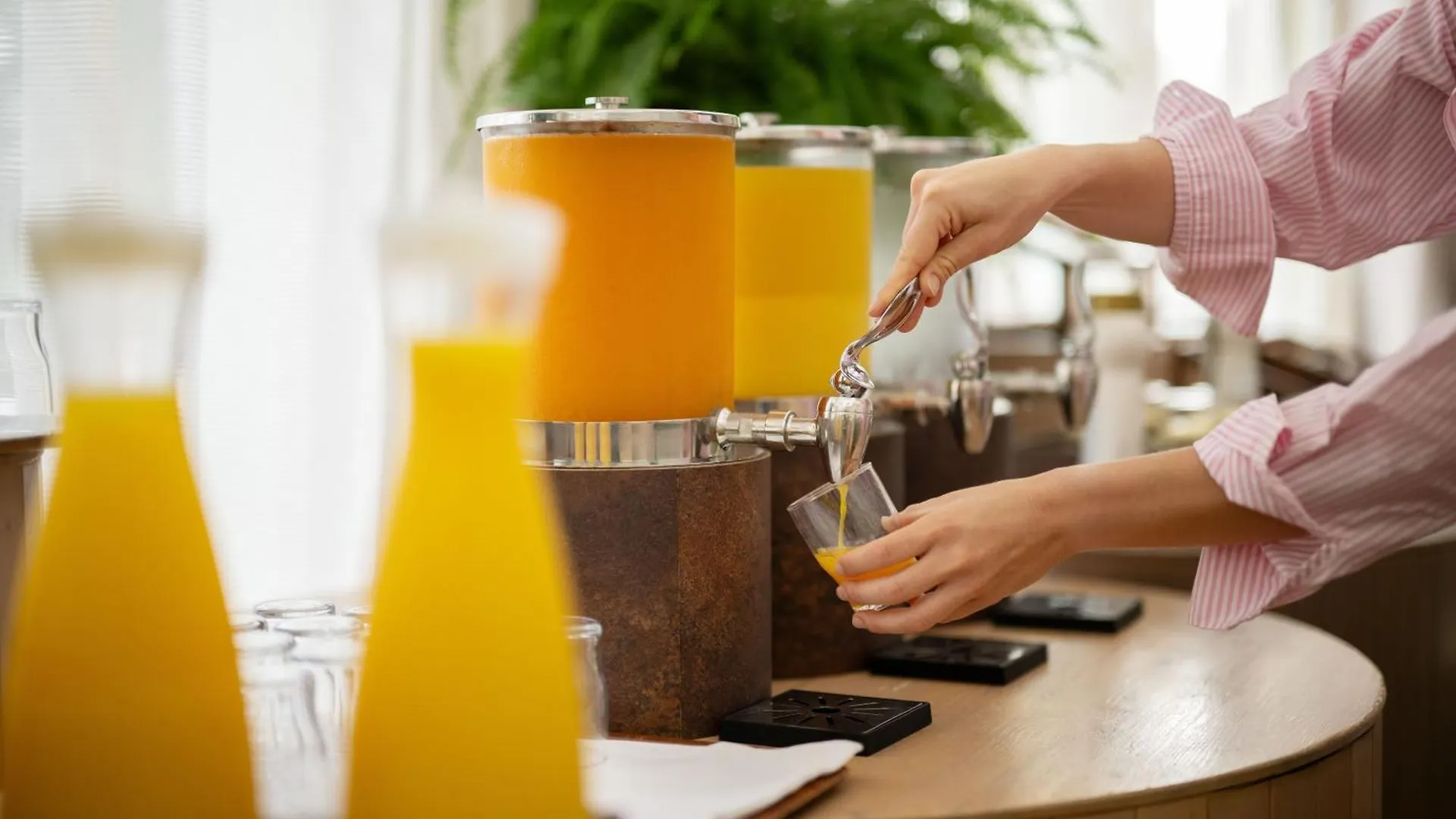 ****  Color Hotel Style, Design & Gourmet Bardolino Italy